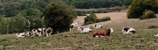 Sécheresse : La quasi-totalité du département en rouge. De nouvelles mesures de restriction des usages de l'eau s'imposent à compter du 30 septembre 2026